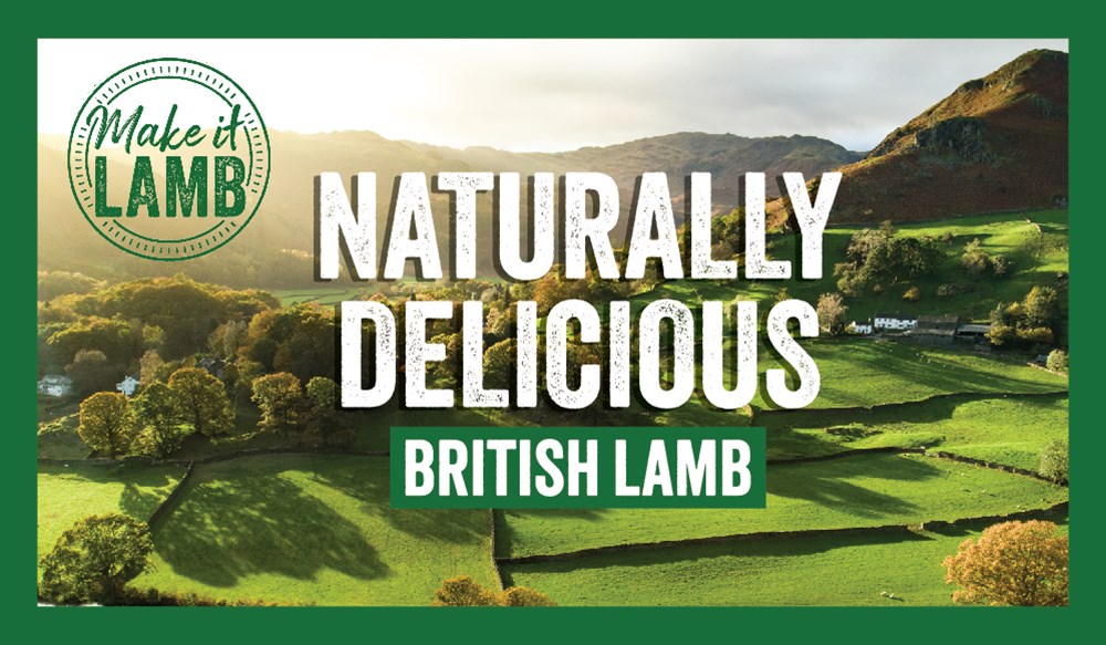 Make it lamb advertising graphic: naturally delicious British lamb over an image of green fields.